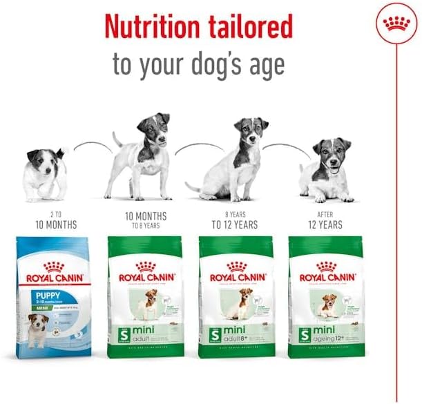 Royal Canin S Mini Adult