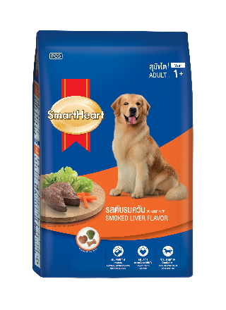 SmartHeart Adult