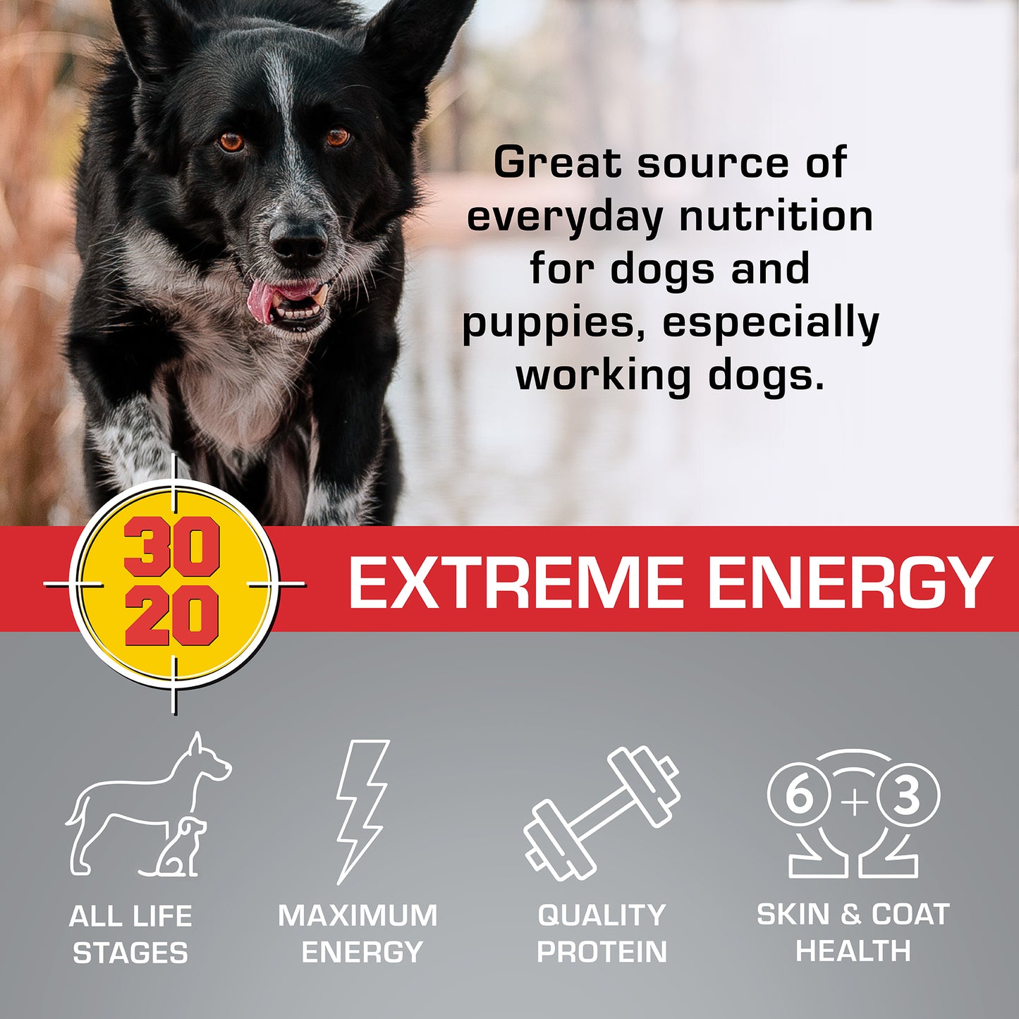 SportMix Premium Extreme Energy