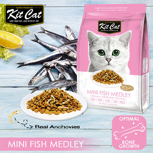 Kit Cat Premium Dry Cat Food