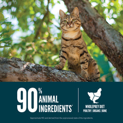 Orijen Cat Guardian 8
