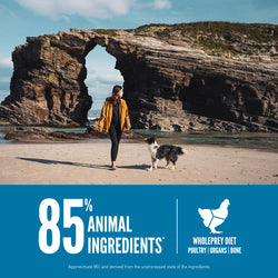 Orijen Dog Sixth Fish