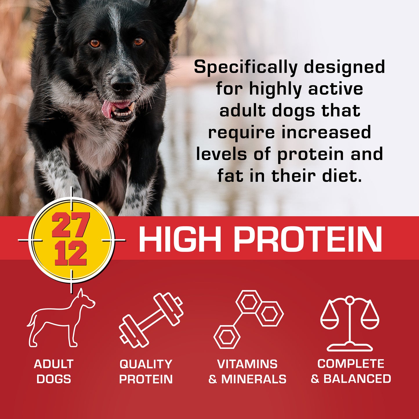 SportMix Dog High Protein