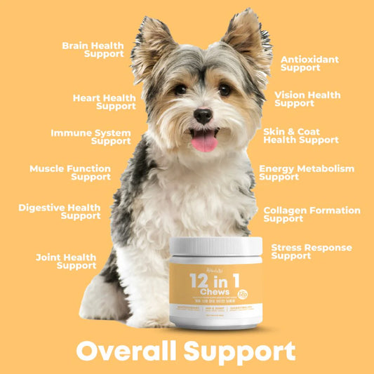 Altimate Pet 12 In 1 Multivitamin Dog Supplement Chews