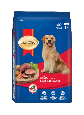 SmartHeart Adult
