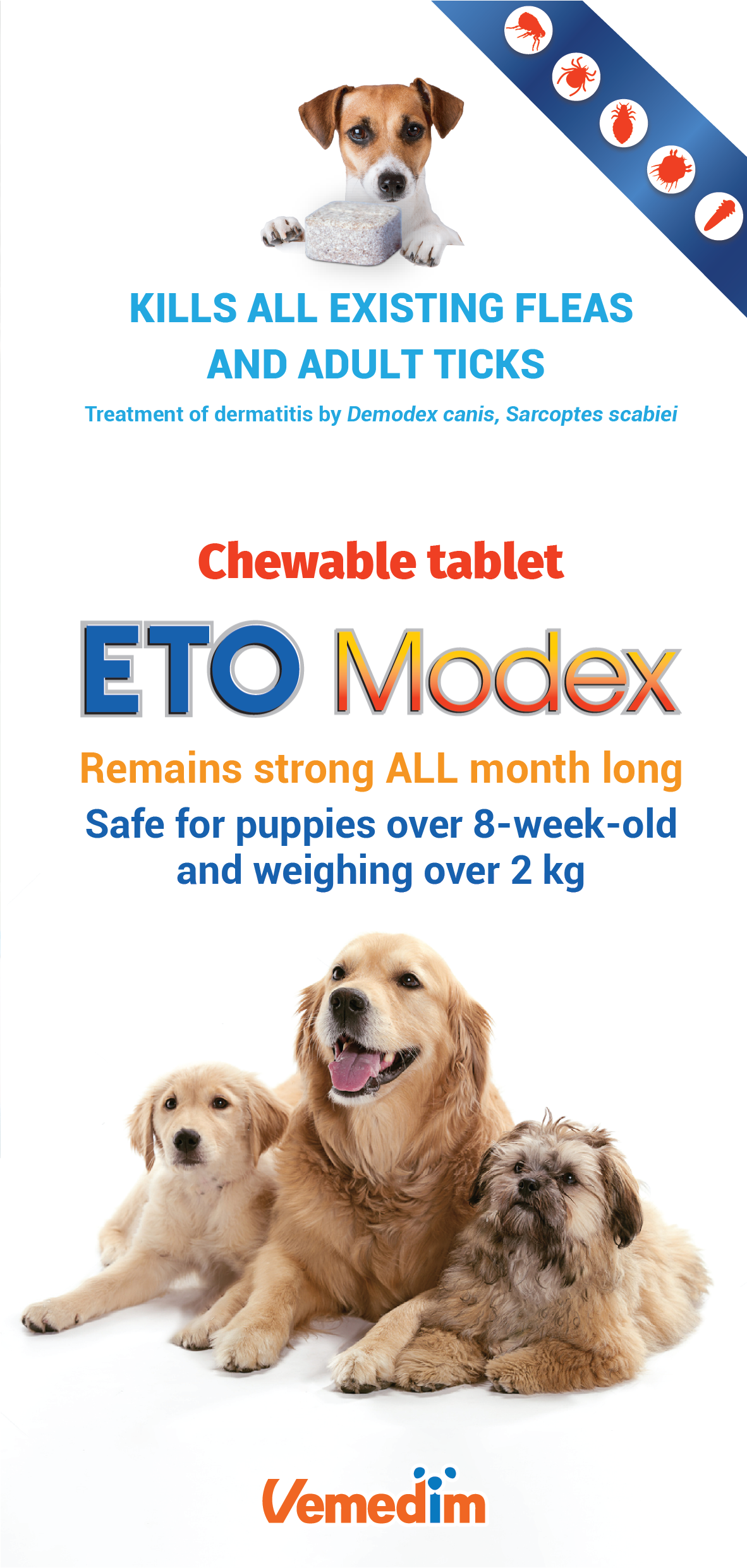 ETO Modex