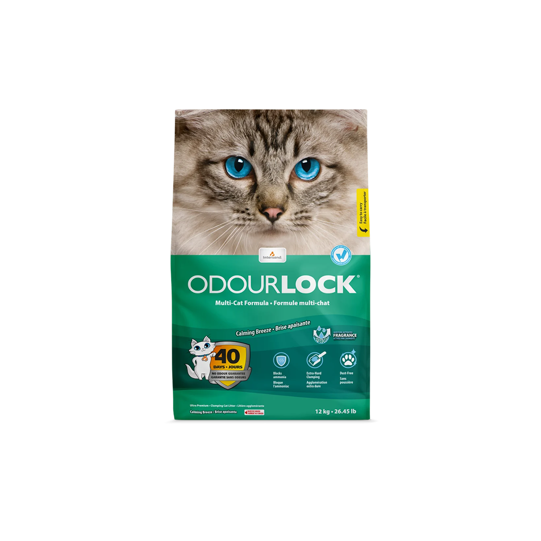 ODORLOCK Ultra-Premium Clay Litter