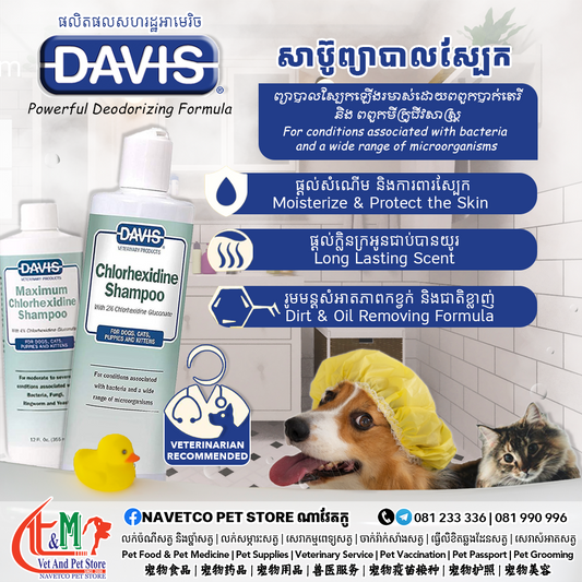 Chlorhexidine Dog & Cat Shampoo