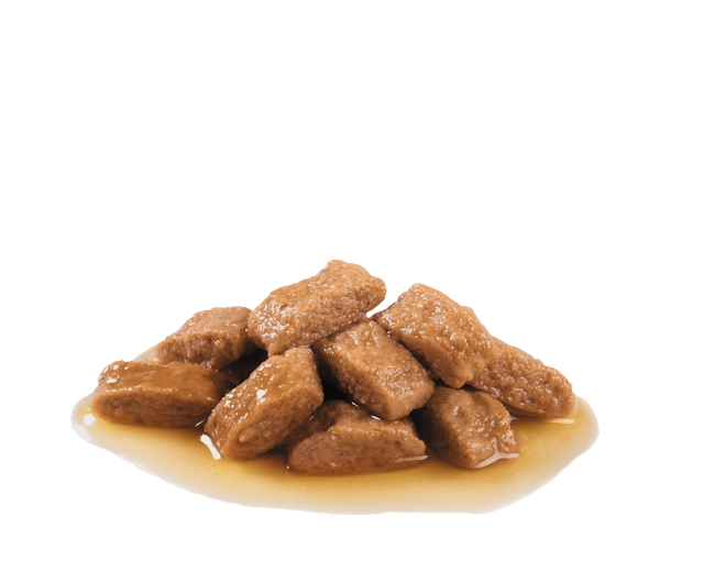 Royal Canin Medium Adult In Gravy