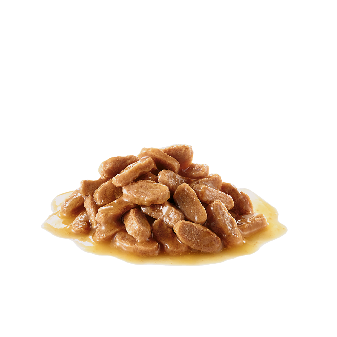 Royal Canin Medium Puppy Chunks In Gravy