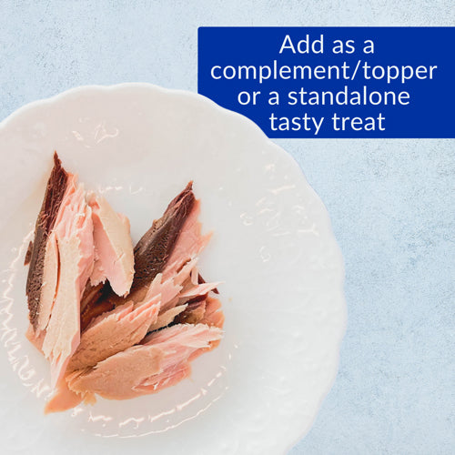 Inaba Grilled Tuna Fillet