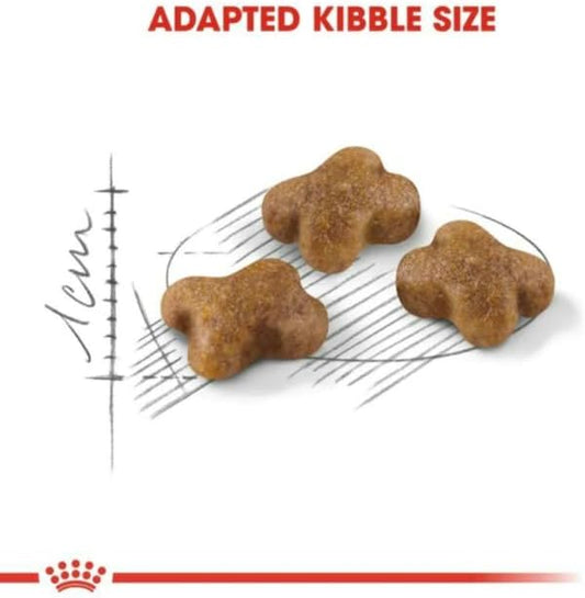 Royal Canin Kitten