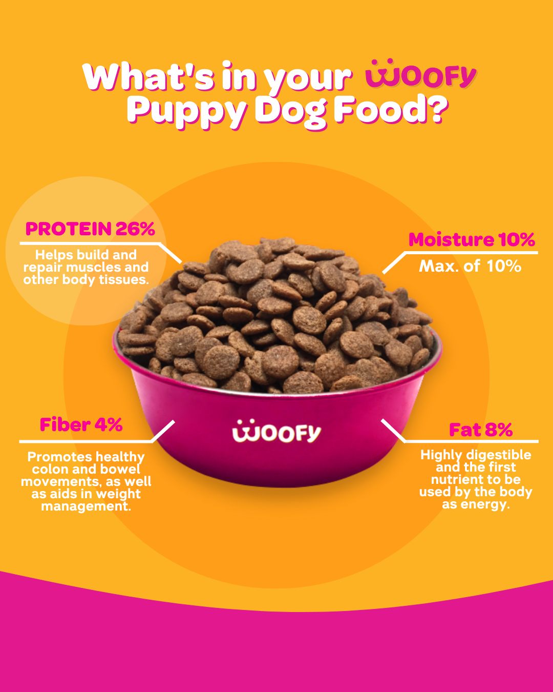 Woofy Adult Healthy Skin and Shiny Coat