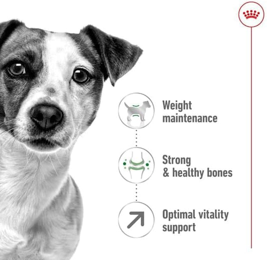 Royal Canin S Mini Adult
