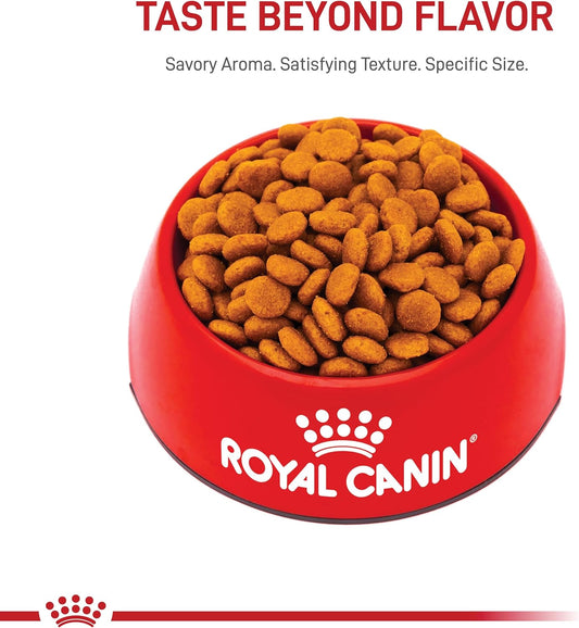 Royal Canin Medium Adult