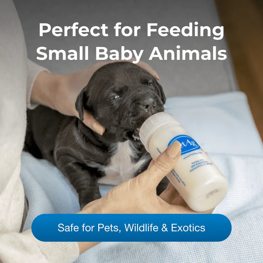 Nursing Kit Bottle
