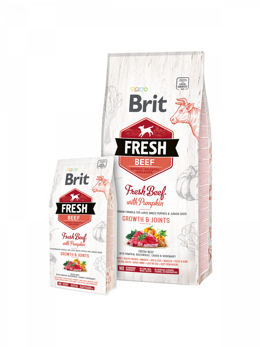 Brit Fresh Beef with Pumpkin Puppy Large Bones & Joints