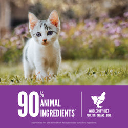 Orijen Kitten Formula