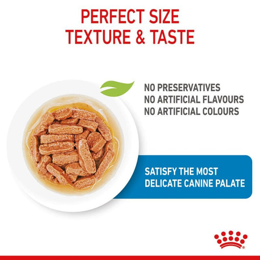 Royal Canin Medium Puppy Chunks In Gravy