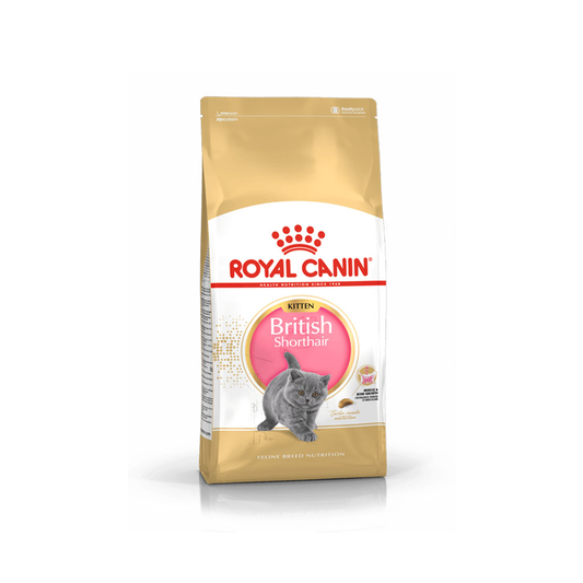 Royal Canin British Shorthair Kitten