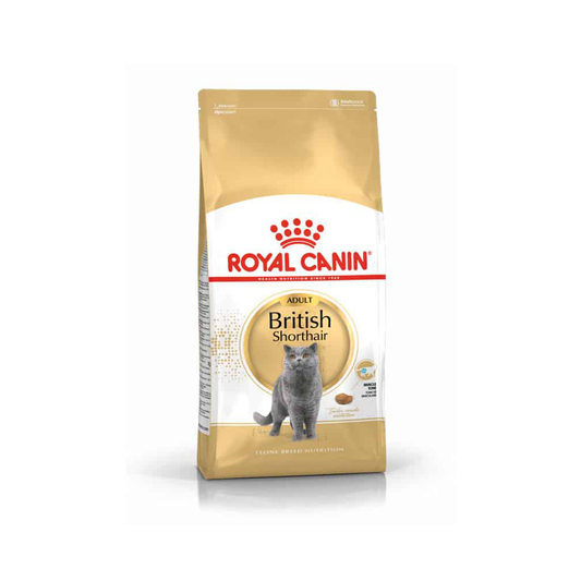 Royal Canin British Short Hair Adult