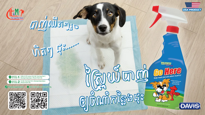 Go Here Potty Training Aid