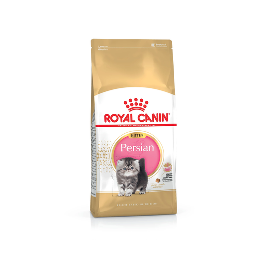 Royal Canin Persian Kitten