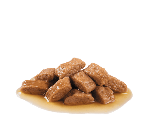 Royal Canin Medium Adult In Gravy
