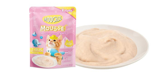 Moochie Mousse Kitten