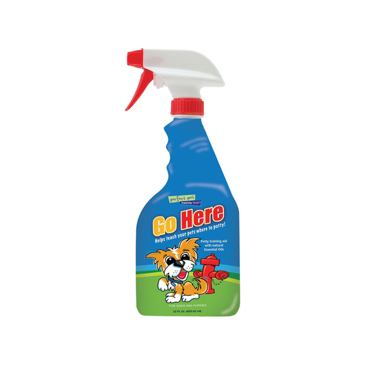 Go Here Potty Training Aid