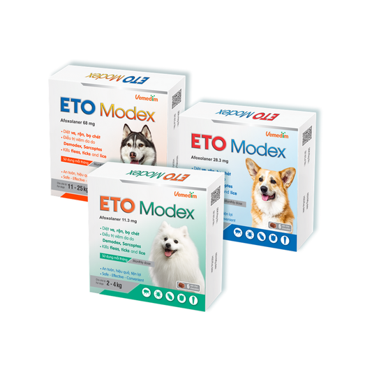 ETO Modex