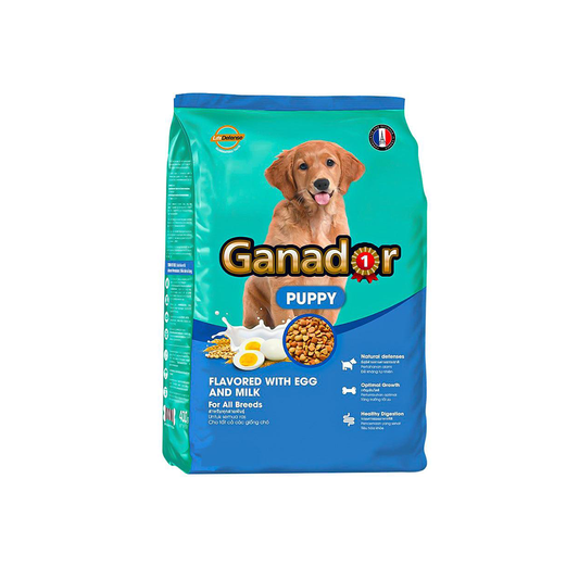 Ganador Puppy