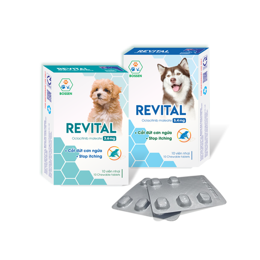 Revital Dog