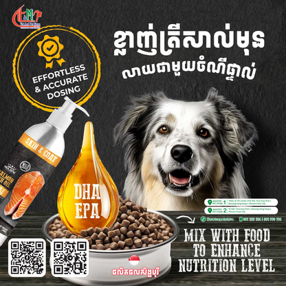 Absolute Holistic Salmon Oil Supplement