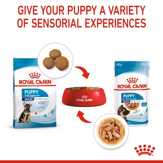 Royal Canin Maxi Puppy In Gravy