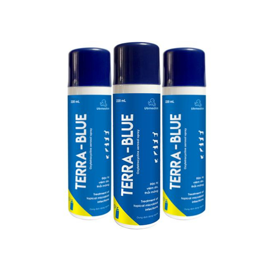 Vemedim Terra-Blue