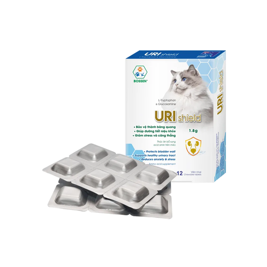 Uri Shield Cat